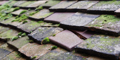 Halfway roof repair costs